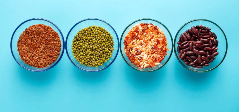 Protein sources for a vegetarian diet